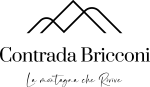logo bricconi